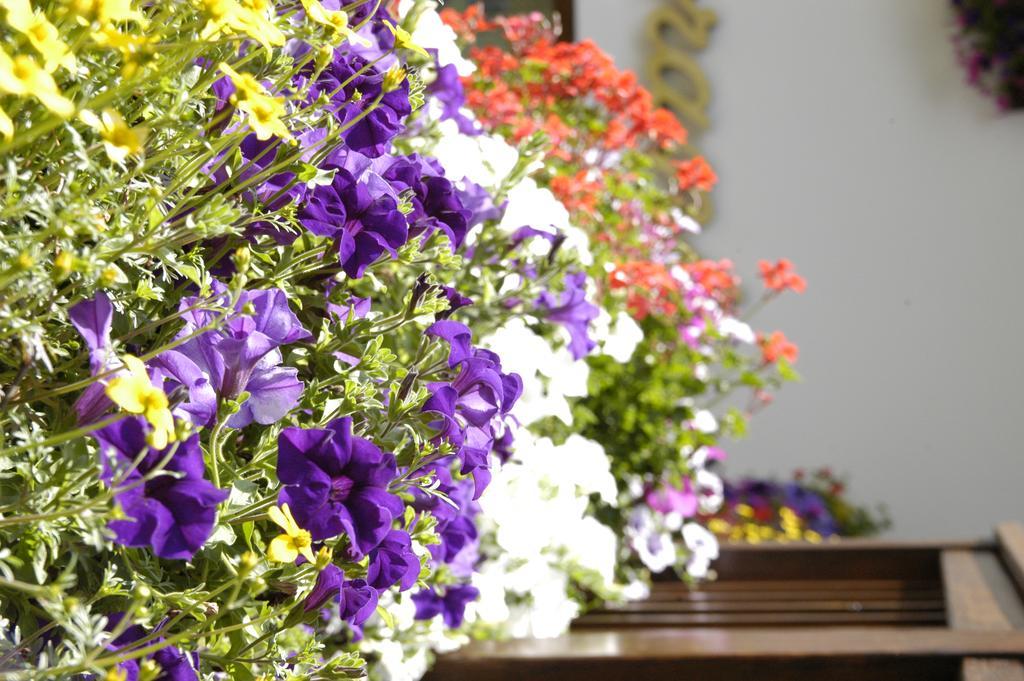 Debra Park Hotel Moena Luaran gambar