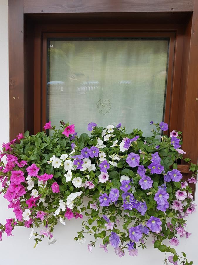 Debra Park Hotel Moena Luaran gambar